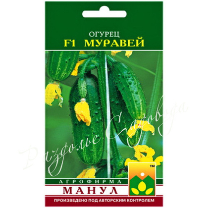 Огурец Муравей F1 , семена