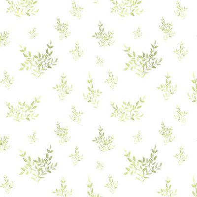 Мелкие нежные листики