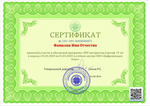 SUP инструктор