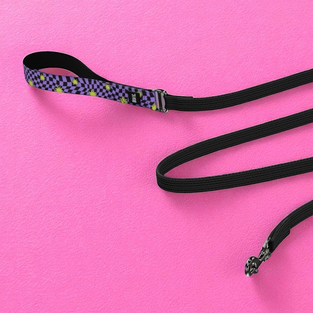 Ошейник Lav Flash, наличие