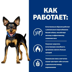 Hill's Prescription Diet Metabolic Mini для собак мелких пород 1 кг