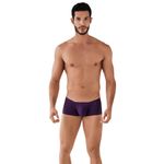 Мужские трусы хипсы баклажановые Clever ARAWAK LATIN BOXER 078519