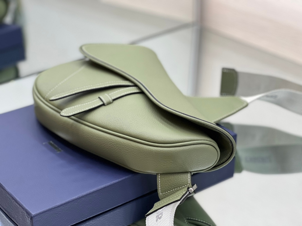 Christian Dior Saddle 26 cm