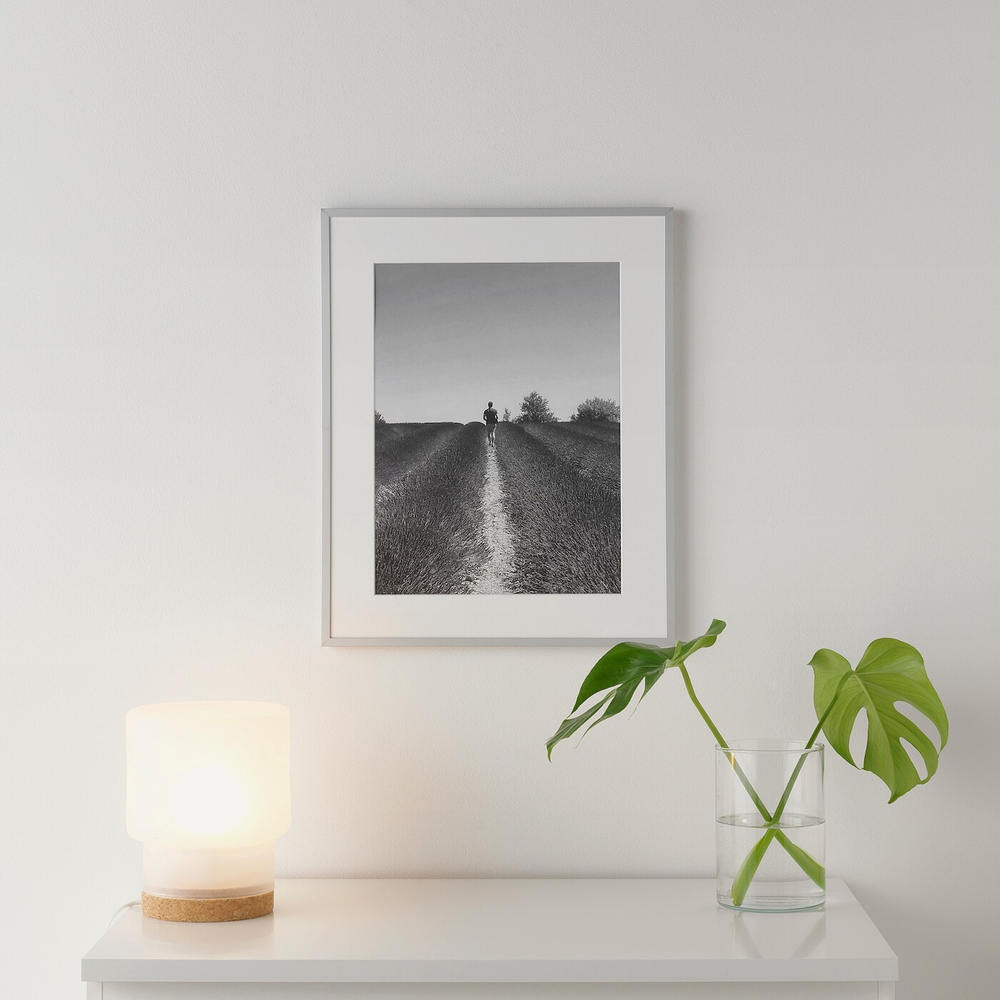 IKEA LOMVIKEN  (ИКЕА ЛОМВИКЕН)  -  Рама, алюминий, 40x50 см
