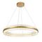 Подвесной светодиодный светильник ST Luce Cherio SL383.223.01