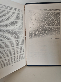 Золотой жук. Странные шаги