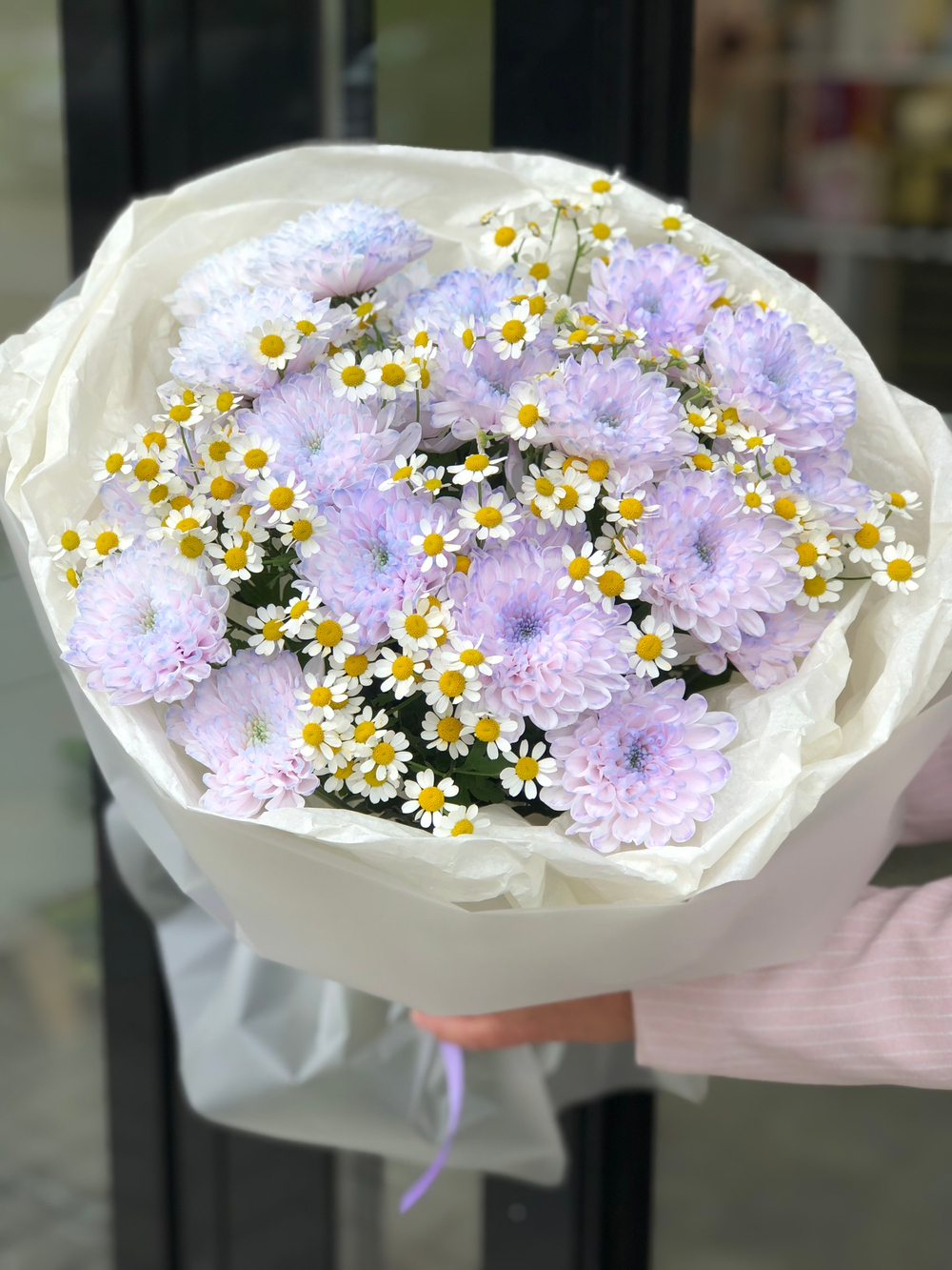 Лавандовое поле с ромашками