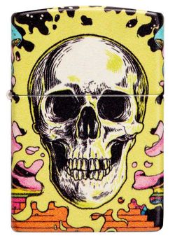 Зажигалка Zippo Skull Design (48640) 2
