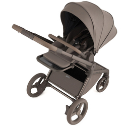 Детская коляска Anex Flo 2 в 1 Yuki