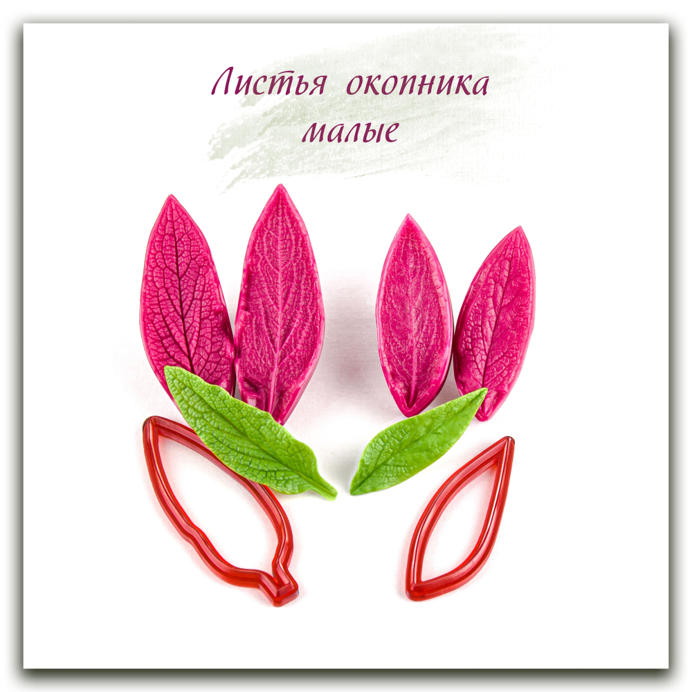 Листья окопника малые