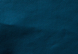 Искусственная кожа Domus (Домус) navy