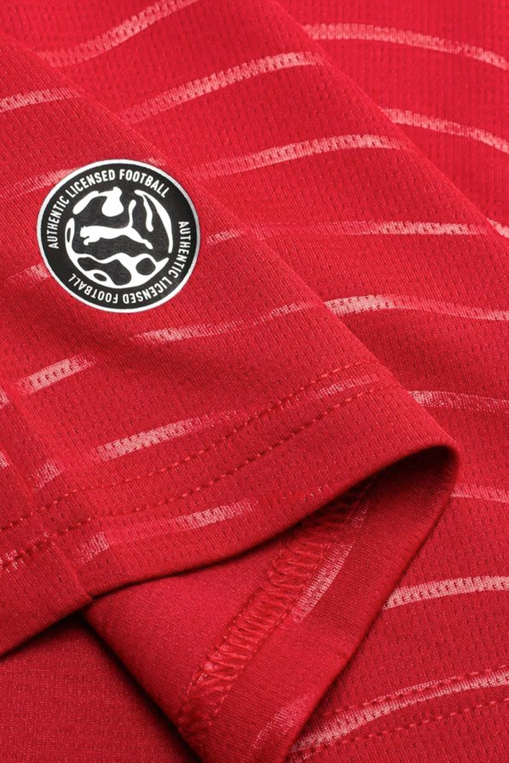 Футболка с длинными рукавами Puma Portugal 2026 Home Junior - красный