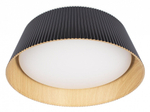 Накладной светильник Loft it Evans 10224 Black