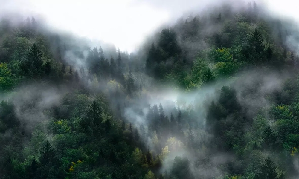 Цифровое панно ID Wall FOGGY MOUNTAINS