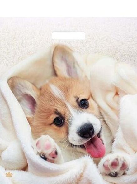 Пакеты с вырубной ручкой "Малыш Веня" 38х45+3см 60мкм (50/500шт)