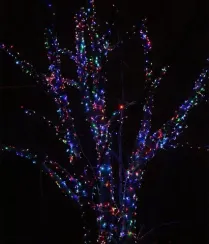 Комплект гирлянды на деревья 60 м., 3 луча по 20 м, 600 RGB ламп, прозрачный силикон, Beauty Led (KDD600-10-1RGB)