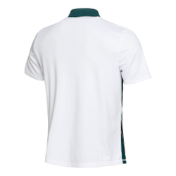 Мужское теннисное поло Fila Dan Polo Men - White, Dark Green