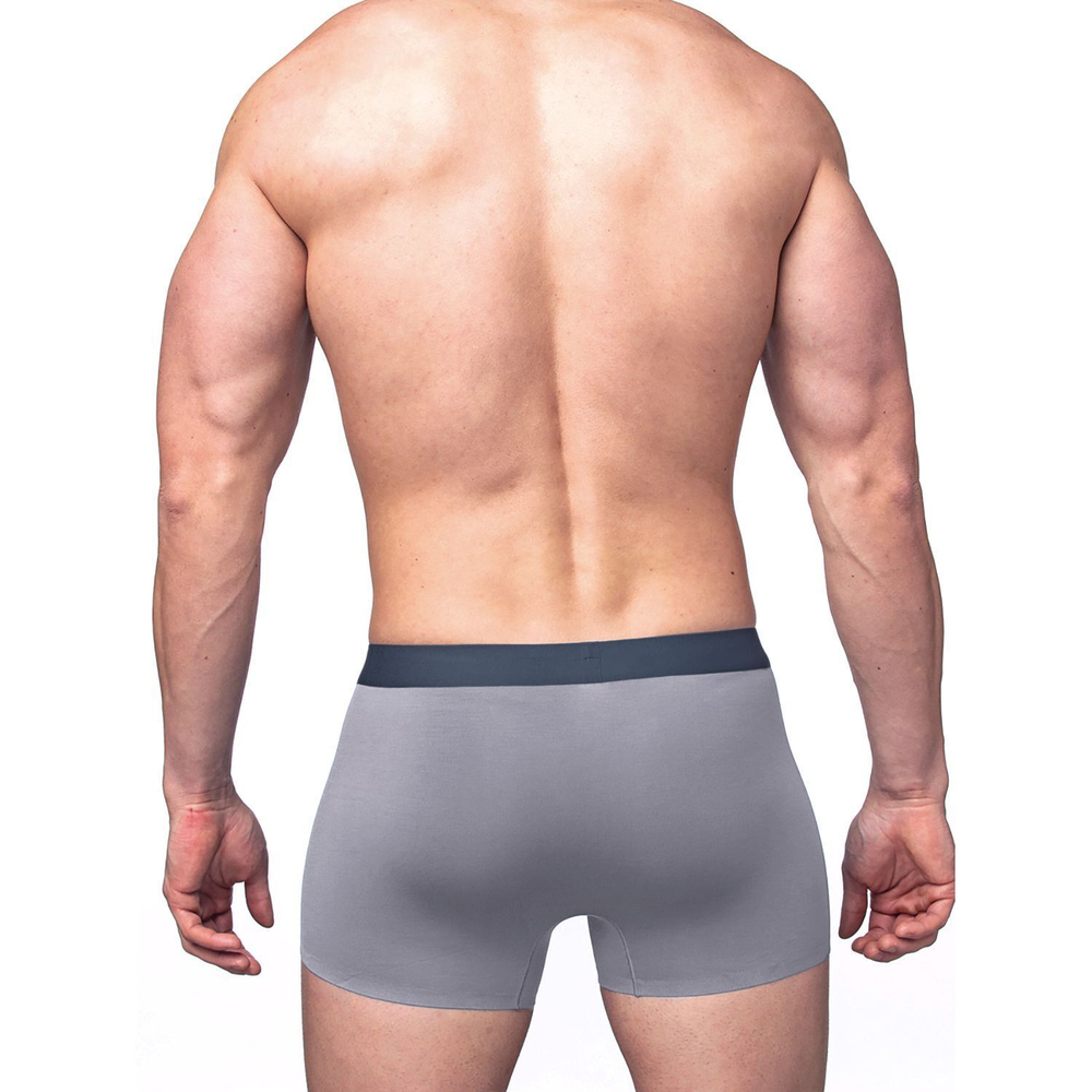 Трусы-боксеры из приятного к телу модала (Размер: L) (Цвет: светло-серый)