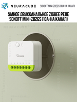 Умное Двухканальное Zigbee реле SONOFF MINI-ZB2GS (10А-на канал)