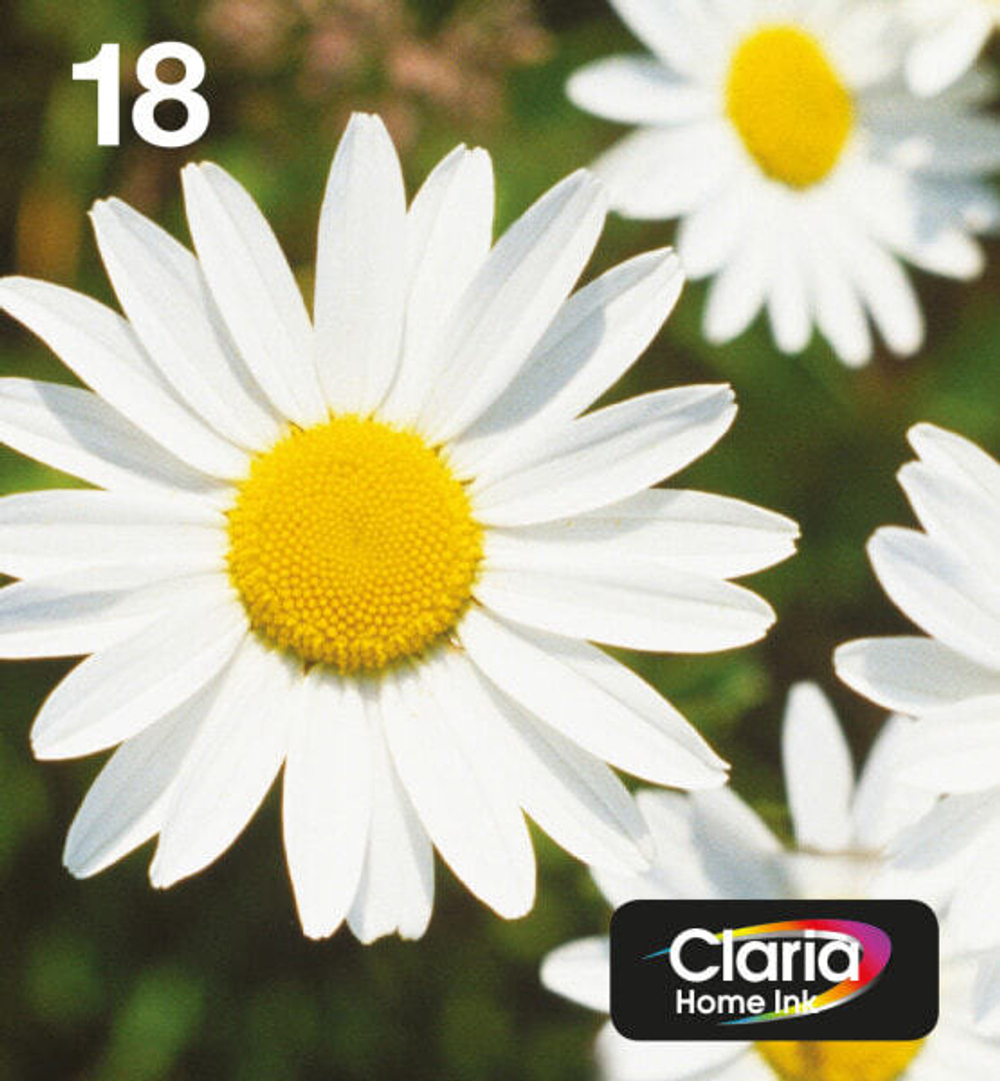 Картридж струйный Multi pack Epson C13T18064511