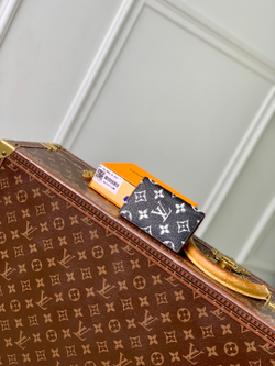 Louis Vuitton Pocket Organizer
