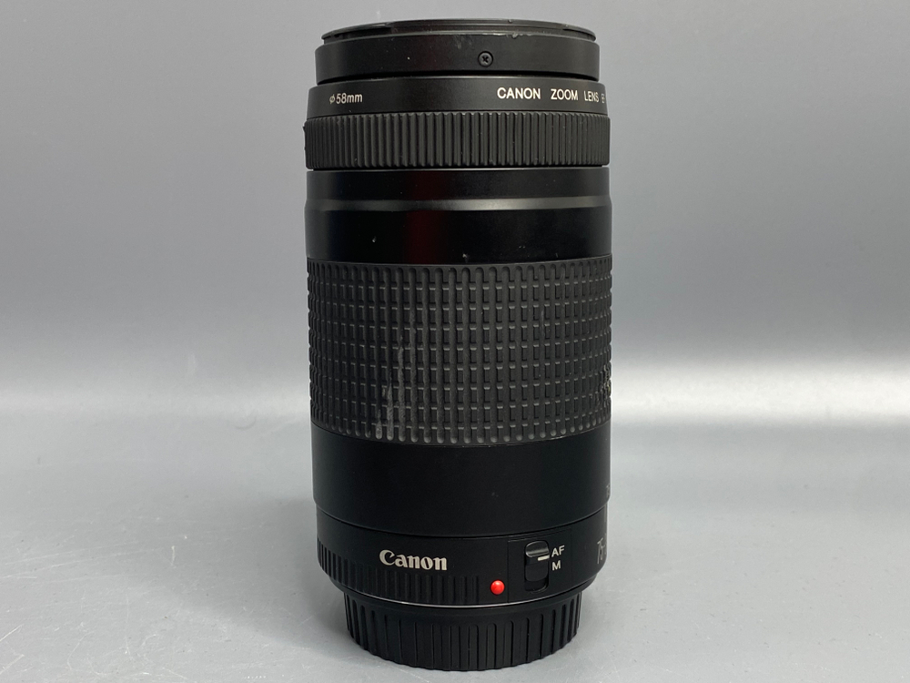 Canon EF 75-300mm 4-5.6 II