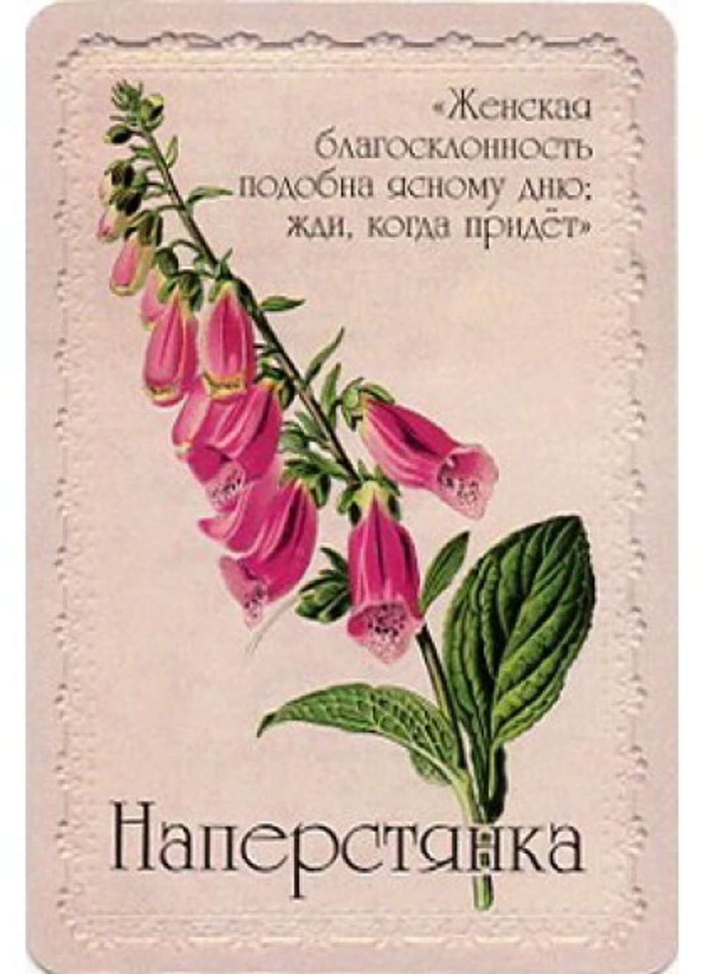 Оракул Селам или Язык Цветов