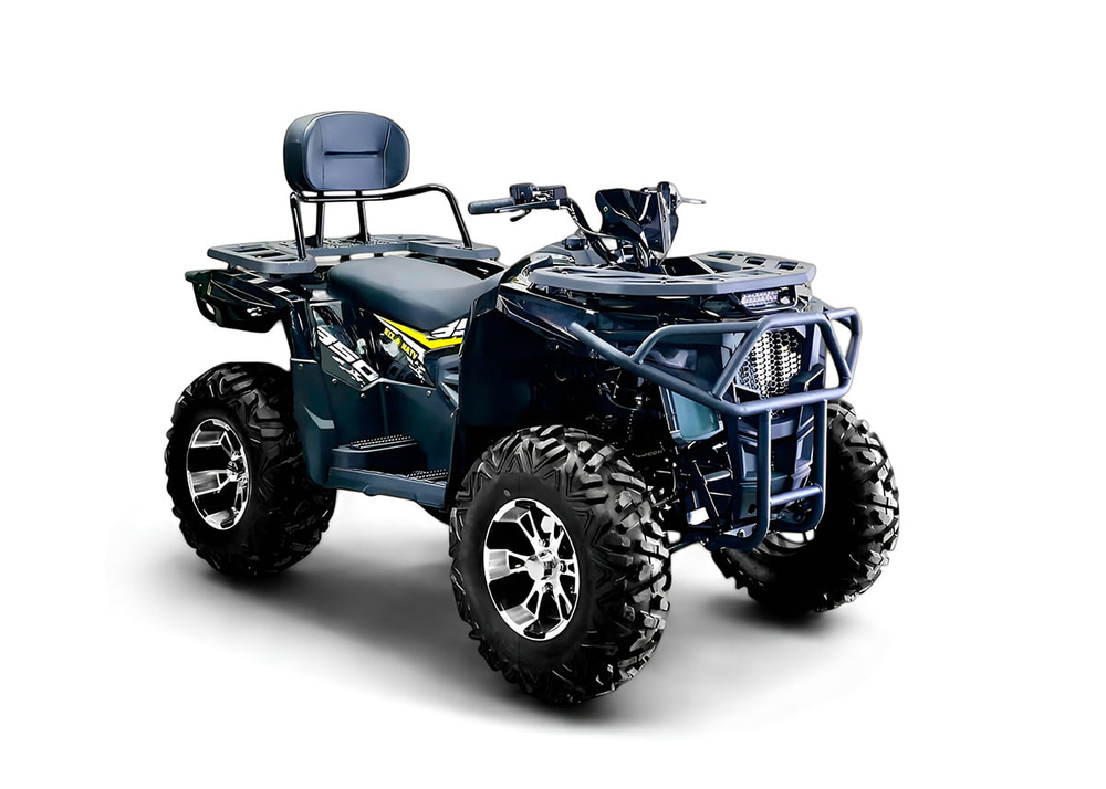 Квадроцикл BIZON ZX350