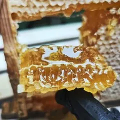 Мед луговой в сотах (рамки) / 250 гр