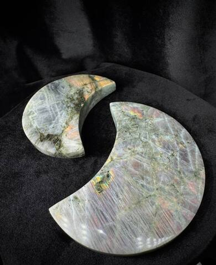 Лабрадор (Месяц)