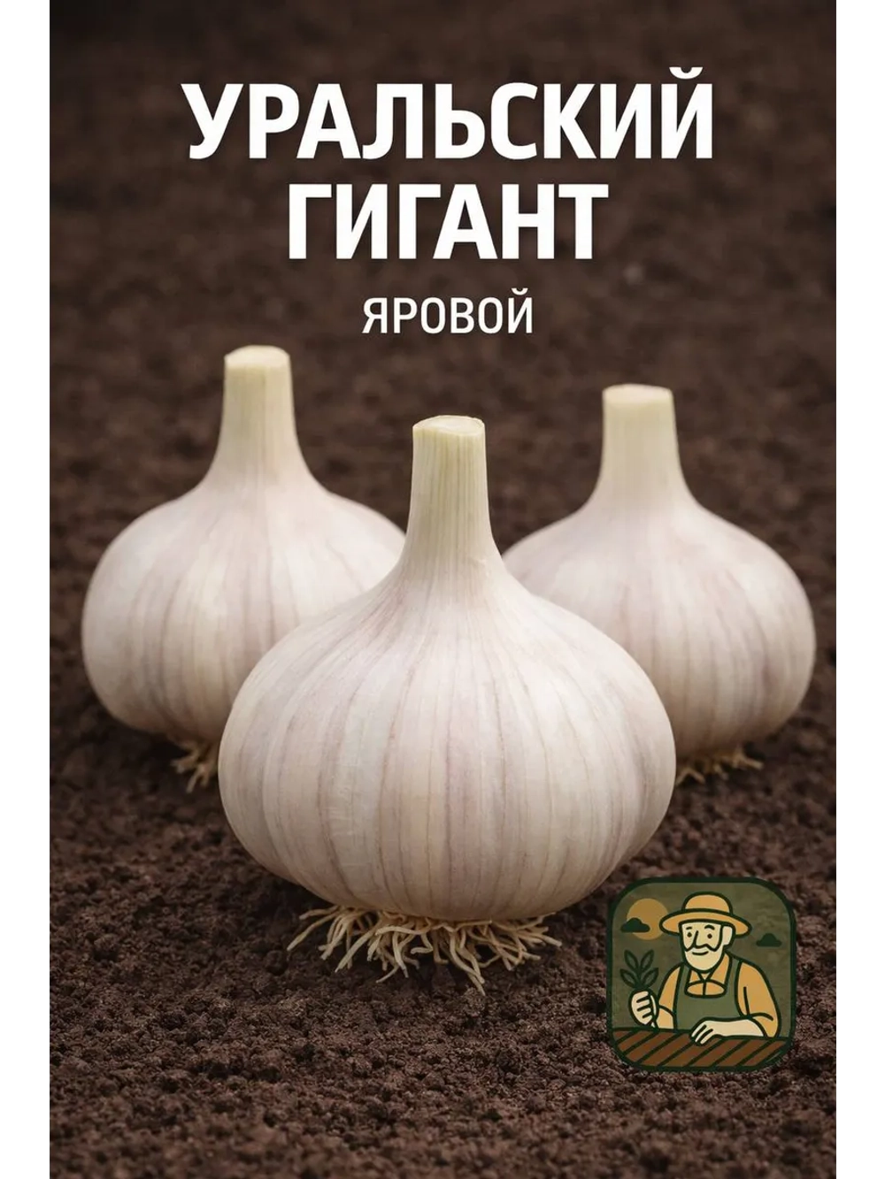 Чеснок яровой Уральский Гигант
