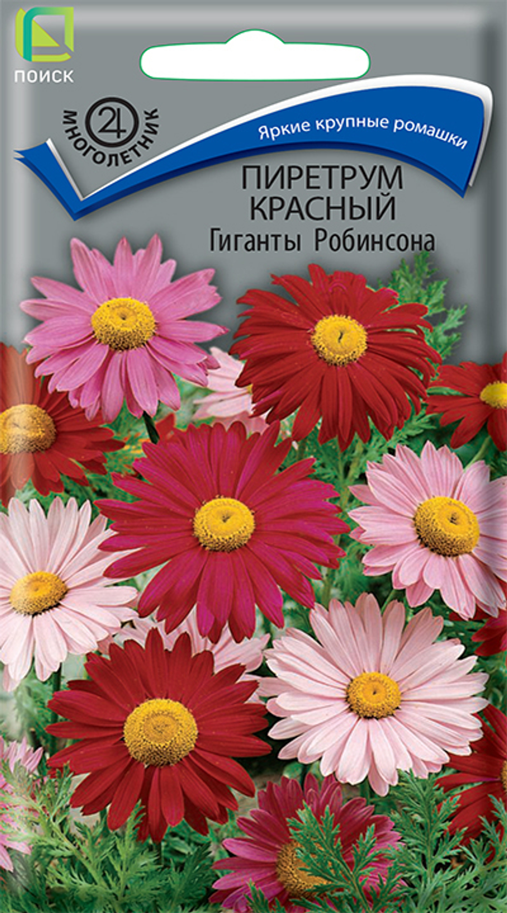 Пиретрум красный Гиганты Робинсона