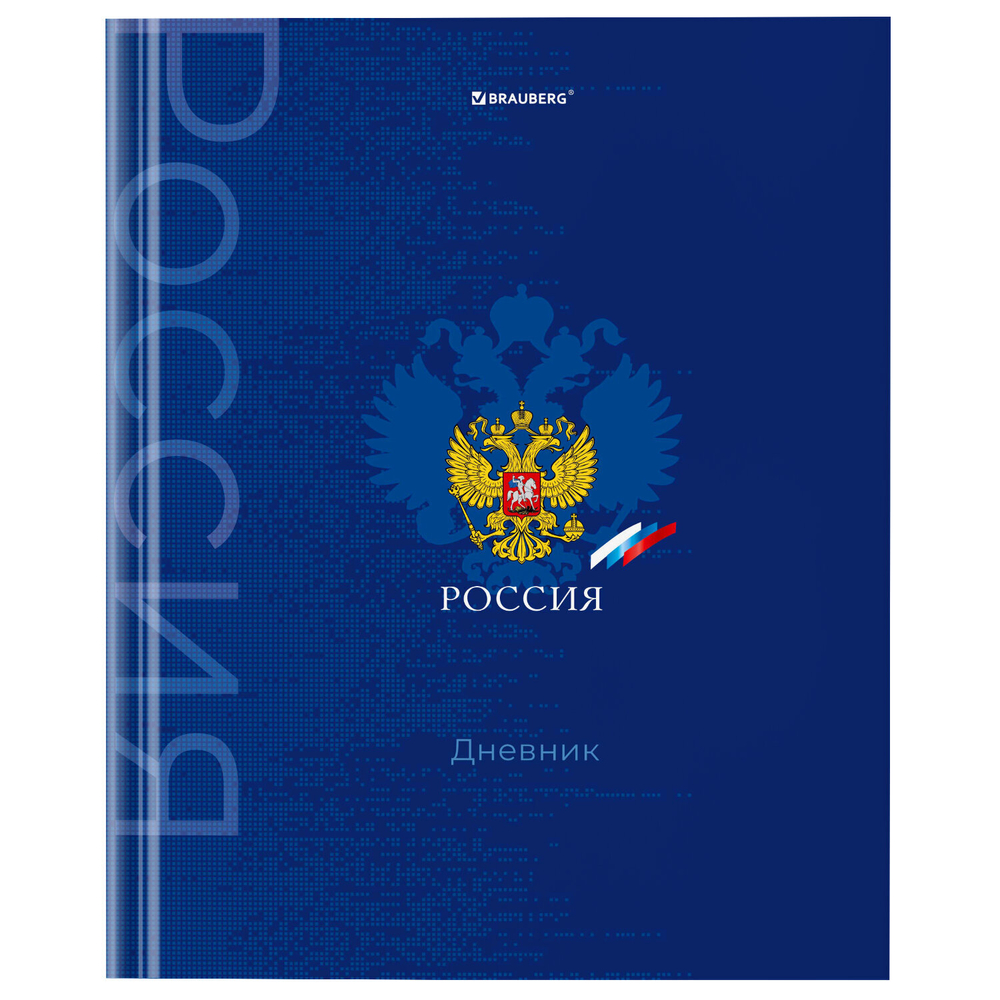 Дневник 5-11 класс 48 л., твердый, BRAUBERG, глянцевая ламинация, с подсказом, "Символика", 106878