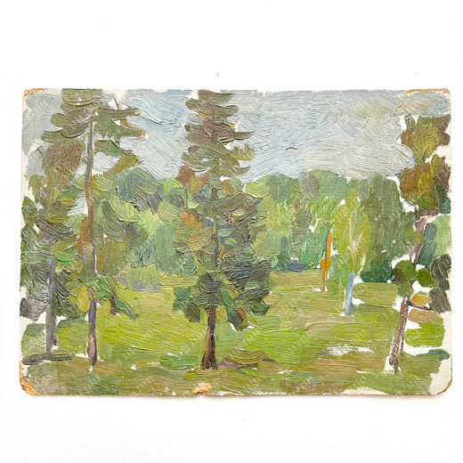Динес Ю. С. Лес в пасмурную погоду. Этюд. Картон, масло. 1959 г.