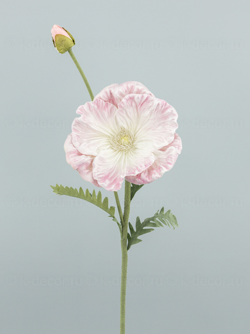 Мак Гигант розовый