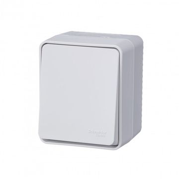 Переключатель проходной 1-кл. ОП AtlasDesign PROFI IP54 10AX бел. SE ATN540161