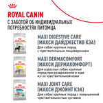 Royal Canin Labrador Retriever Лабрадор Ретривер Эдалт Корм сухой для взрослых собак породы Лабрадор Ретривер в возрасте от 15 месяцев 12кг