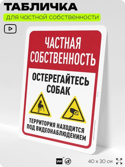 Табличка для частной территории "Частная собственность, остерегайтесь собак", на дом, для участка, организаций, предупреждающая, 40х30 см, Silver Plane x Айдентика Технолоджи