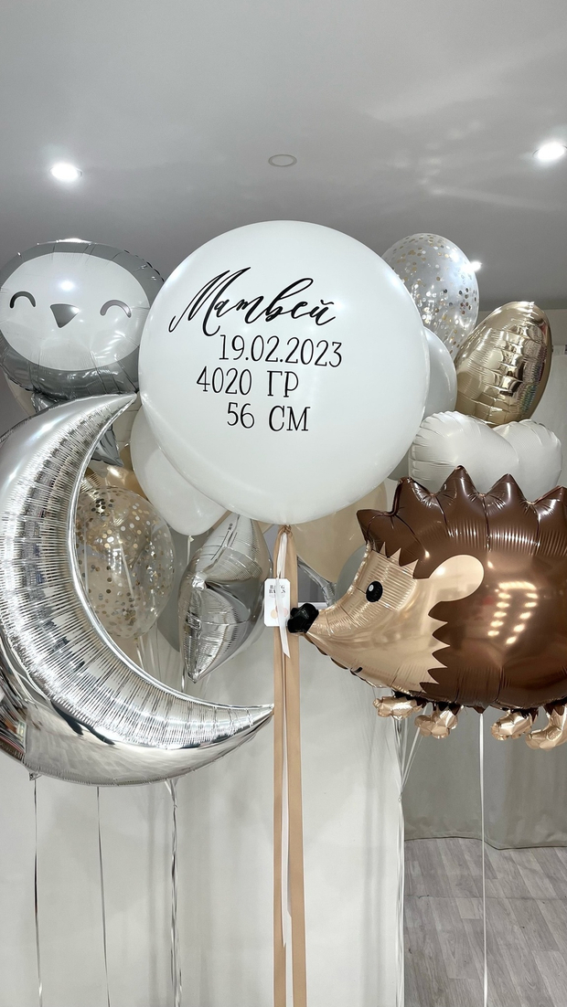 Шары на выписку №120