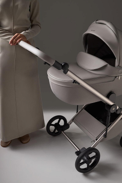 Детская коляска Anex Eli 2 в 1 без рюкзака Santal El-06