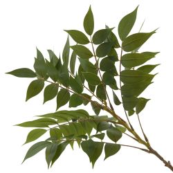 GAEM Ветка искусственная, L W H53 см