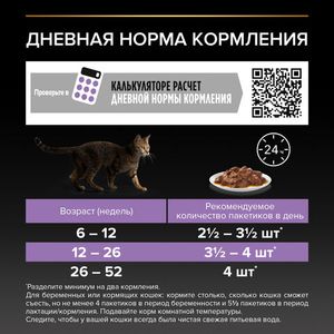 Влажный корм для котят Pro Plan кусочки в соусе с говядиной, 85гр