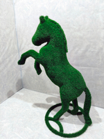 Конь на дыбах