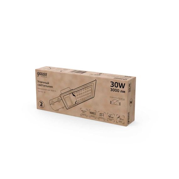 Уличный светодиодный светильник Gauss 629534230