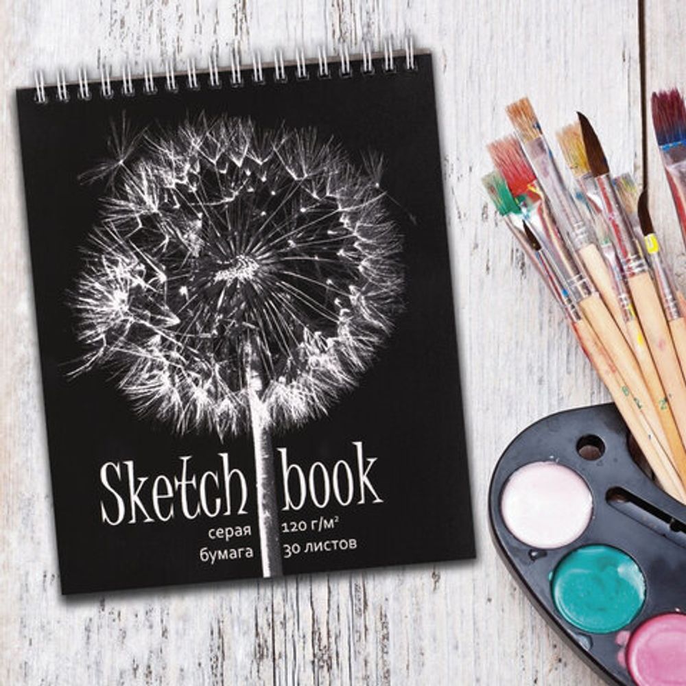 Скетчбук, серая бумага 120 г/м2, 170х195 мм, 30 л., гребень, подложка, цветная фольга, "Одуванчик", 98672