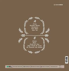 Vinil \ Пластинка \ Vynil Sezen Aksu - FİRUZE /LP