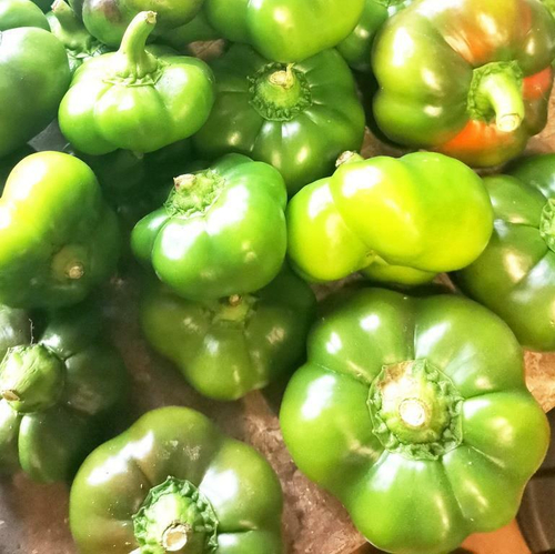 Перец Сладкий Гогошары Настоящий Советский