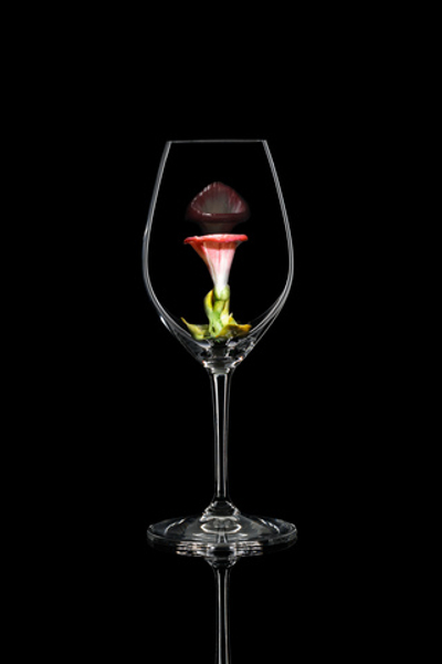 Бокал для шампанского Ридель. Вьюнок розовый.