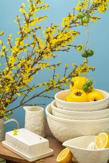 Масленка birds of paradise, кремовая