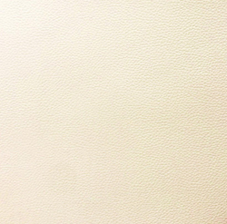 Искусственная кожа Спирит вайт (Spirit 007 white)